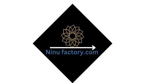 Ninufactory.com design is a symbolic representation of our commitment to growth and creativity. The intertwining elements reflect the interconnected nature of the topics we cover, weaving a narrative that spans the realms of ideas, trends, and experiences.